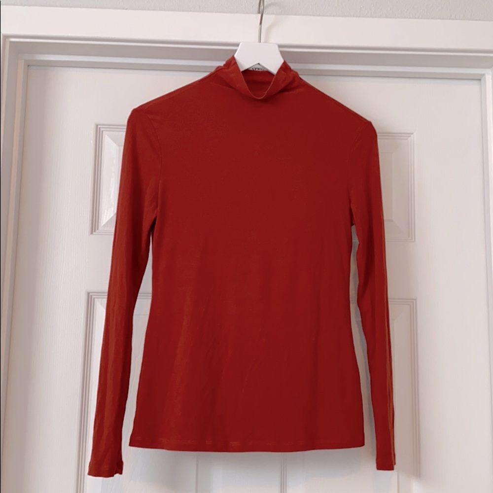 🛍3/$15 Burnt Orange Turtleneck Top